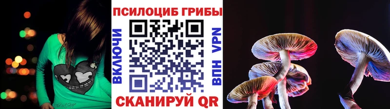 Купить закладки  Протвино  Псилоцибиновые грибы прущие грибы 